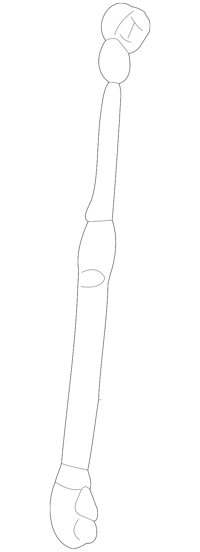 Lift Cylinder - Volkswagen (1C0-823-359-E)